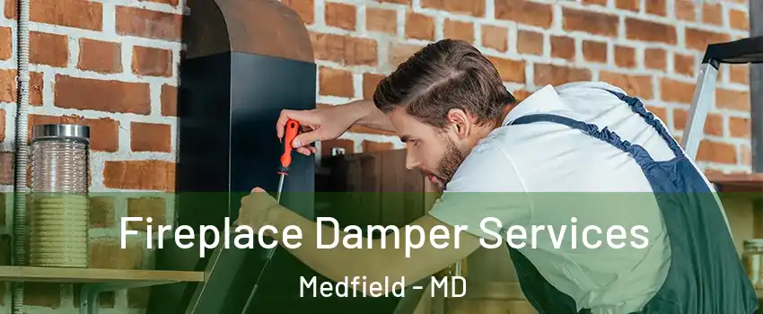 Fireplace Damper Services Medfield - MD