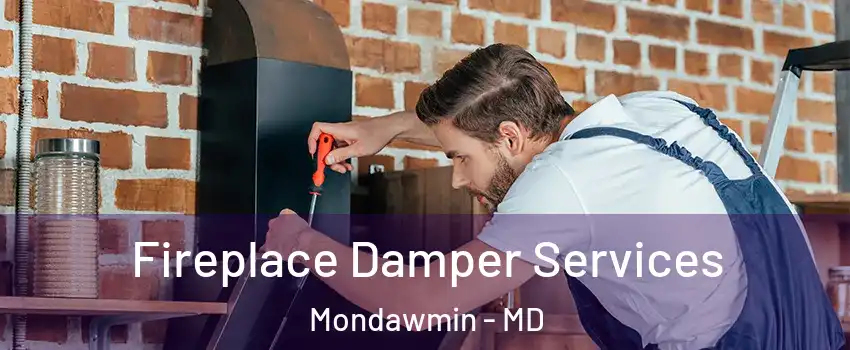 Fireplace Damper Services Mondawmin - MD