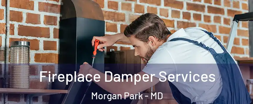 Fireplace Damper Services Morgan Park - MD