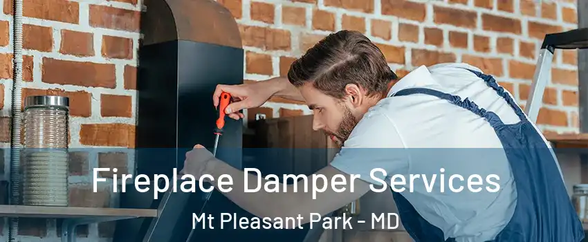 Fireplace Damper Services Mt Pleasant Park - MD