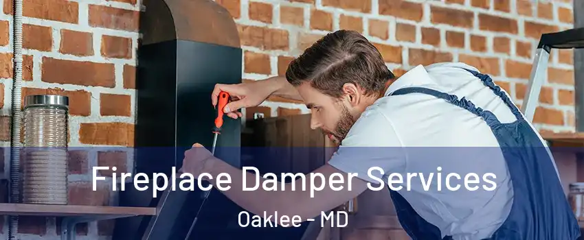 Fireplace Damper Services Oaklee - MD