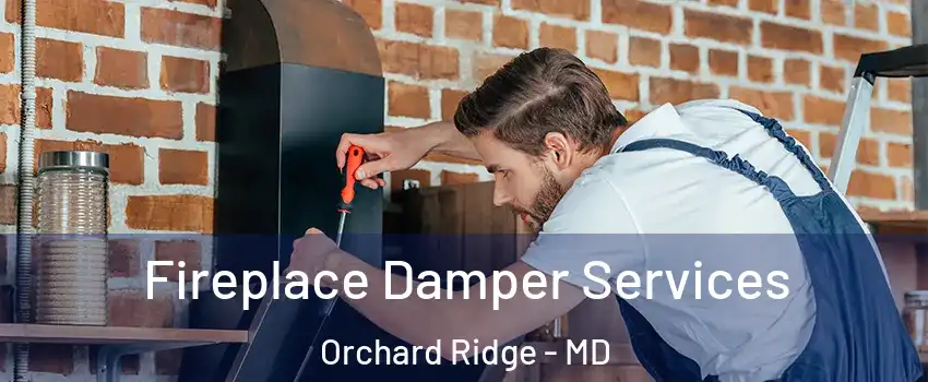 Fireplace Damper Services Orchard Ridge - MD