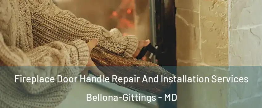 Fireplace Door Handle Repair And Installation Services Bellona-Gittings - MD