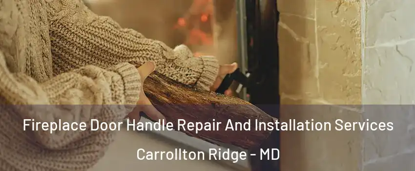 Fireplace Door Handle Repair And Installation Services Carrollton Ridge - MD