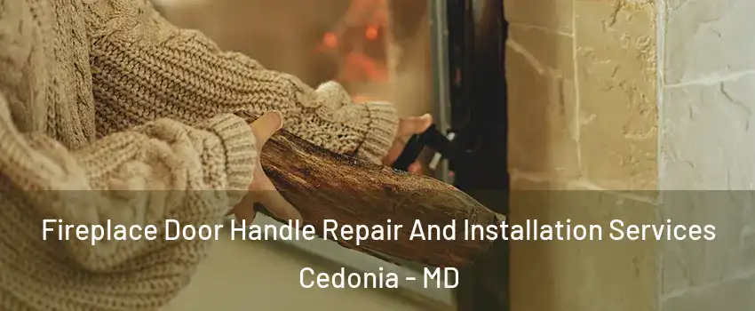Fireplace Door Handle Repair And Installation Services Cedonia - MD