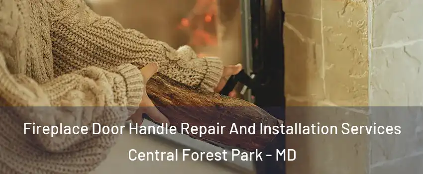 Fireplace Door Handle Repair And Installation Services Central Forest Park - MD