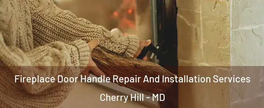 Fireplace Door Handle Repair And Installation Services Cherry Hill - MD