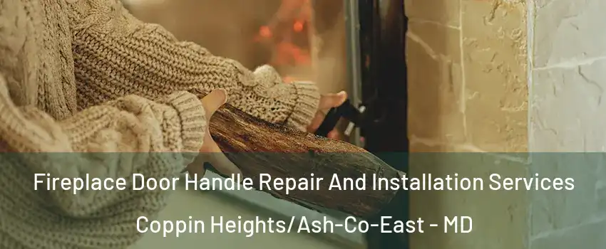 Fireplace Door Handle Repair And Installation Services Coppin Heights/Ash-Co-East - MD