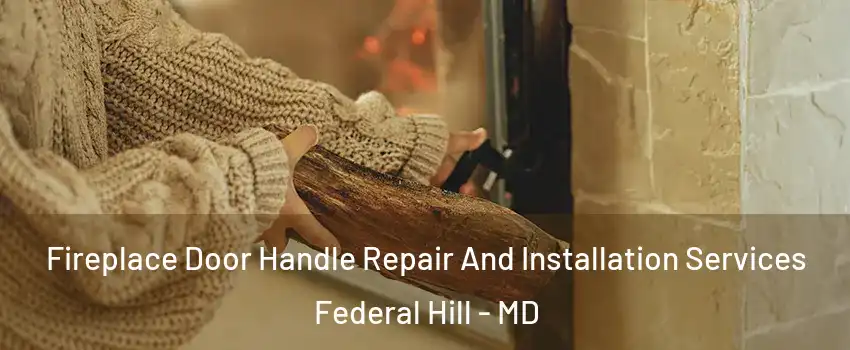 Fireplace Door Handle Repair And Installation Services Federal Hill - MD