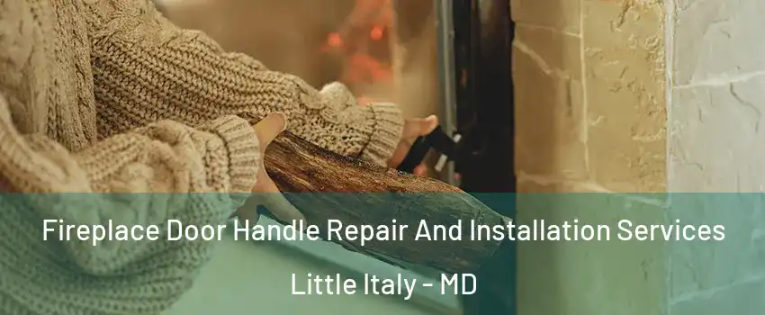 Fireplace Door Handle Repair And Installation Services Little Italy - MD