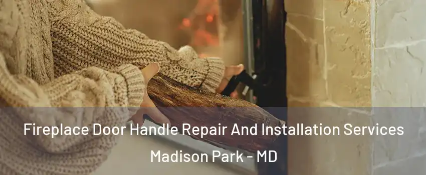 Fireplace Door Handle Repair And Installation Services Madison Park - MD