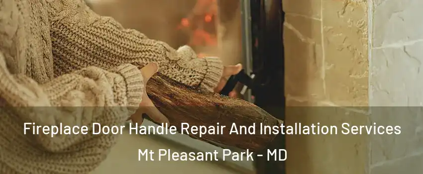 Fireplace Door Handle Repair And Installation Services Mt Pleasant Park - MD