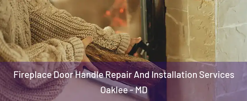 Fireplace Door Handle Repair And Installation Services Oaklee - MD