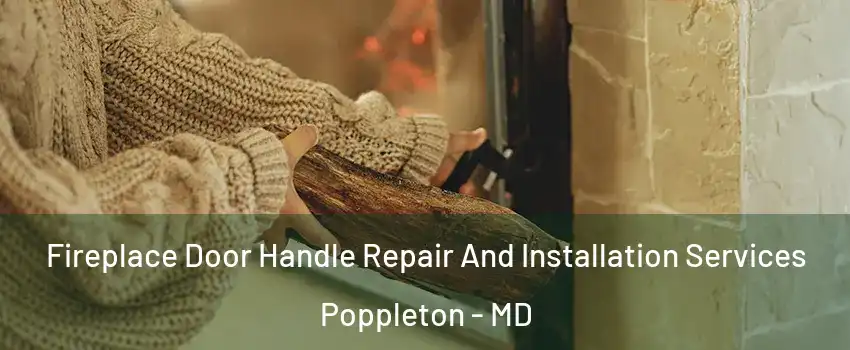 Fireplace Door Handle Repair And Installation Services Poppleton - MD