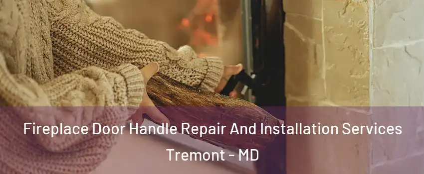 Fireplace Door Handle Repair And Installation Services Tremont - MD