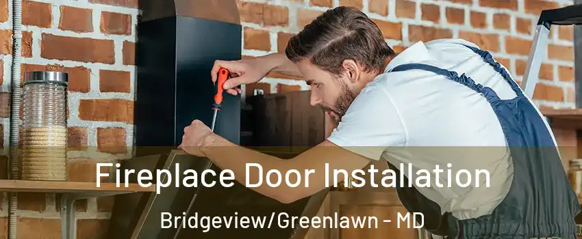 Fireplace Door Installation Bridgeview/Greenlawn - MD