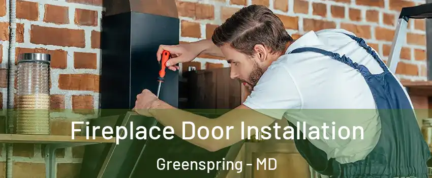 Fireplace Door Installation Greenspring - MD
