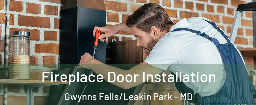 Fireplace Door Installation Gwynns Falls/Leakin Park - MD