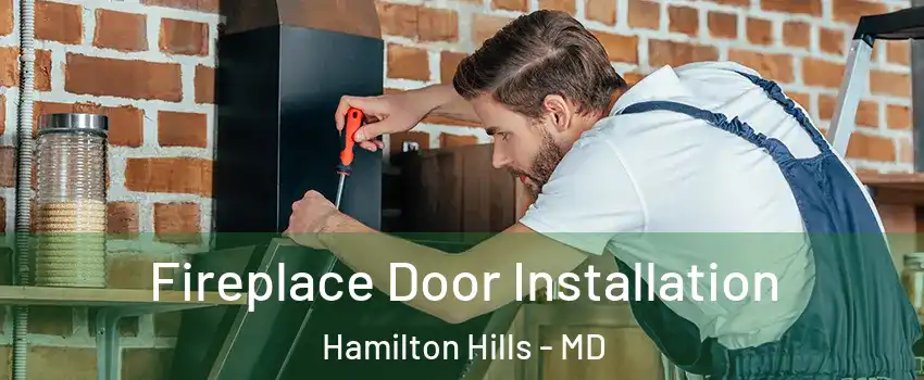 Fireplace Door Installation Hamilton Hills - MD