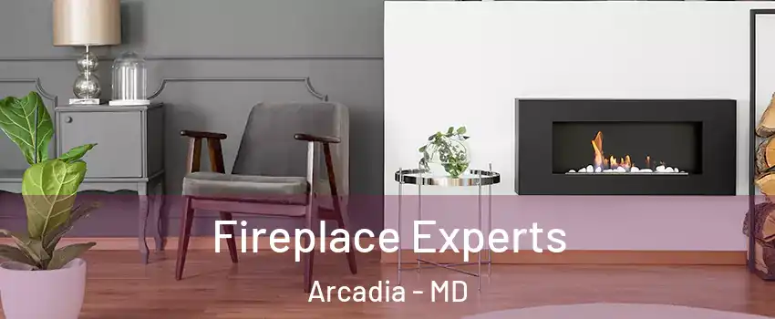 Fireplace Experts Arcadia - MD
