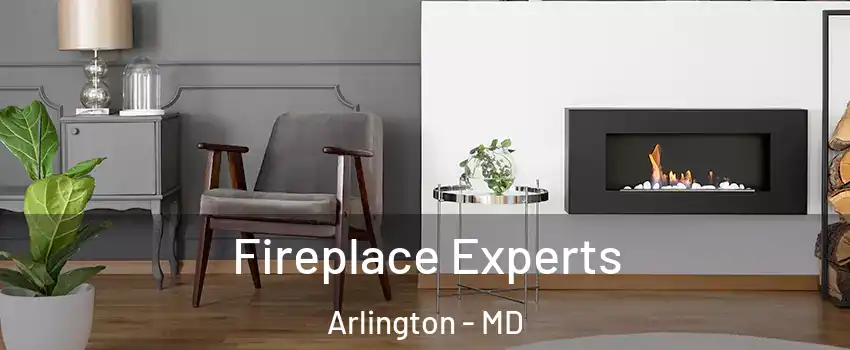 Fireplace Experts Arlington - MD