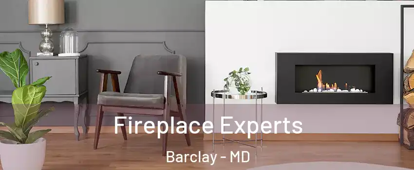 Fireplace Experts Barclay - MD