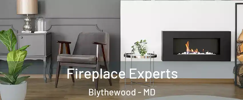 Fireplace Experts Blythewood - MD