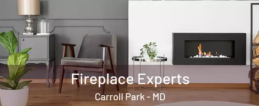 Fireplace Experts Carroll Park - MD
