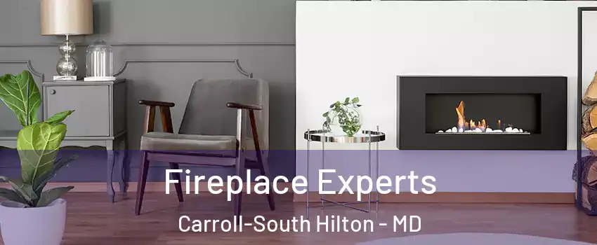 Fireplace Experts Carroll-South Hilton - MD