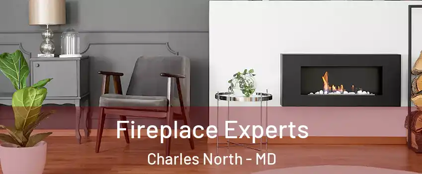 Fireplace Experts Charles North - MD
