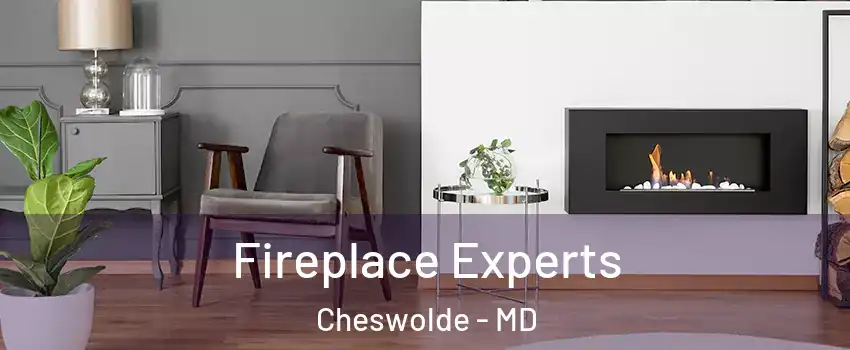 Fireplace Experts Cheswolde - MD