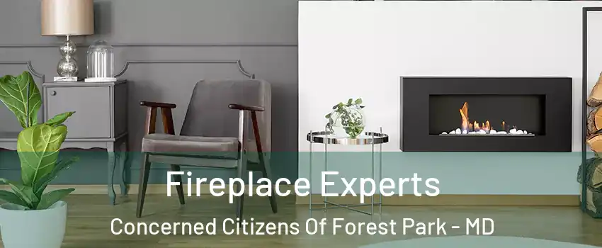 Fireplace Experts Concerned Citizens Of Forest Park - MD