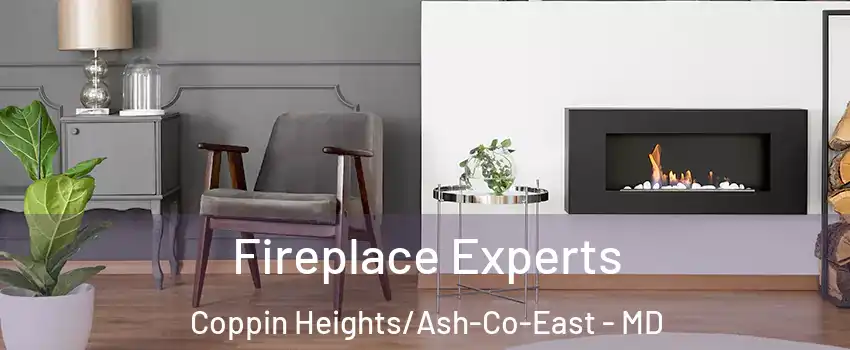 Fireplace Experts Coppin Heights/Ash-Co-East - MD