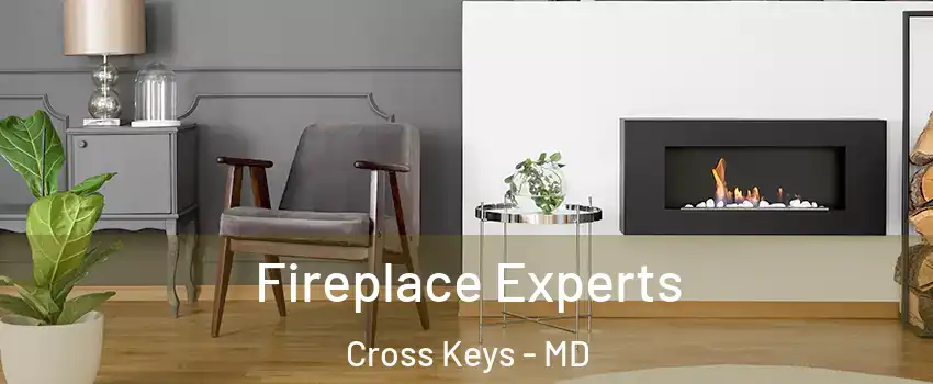 Fireplace Experts Cross Keys - MD