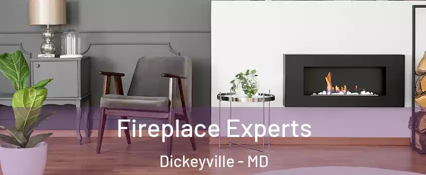 Fireplace Experts Dickeyville - MD