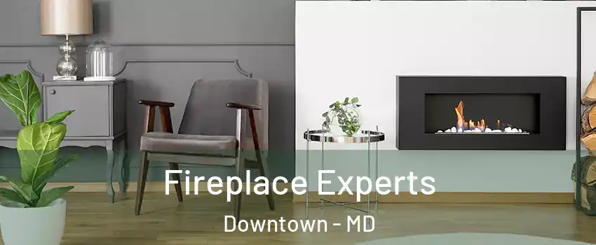 Fireplace Experts Downtown - MD