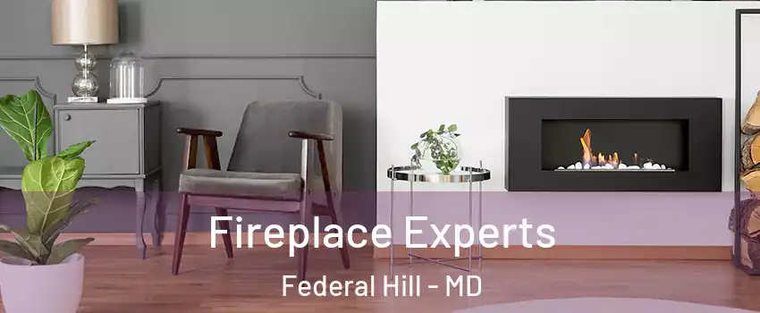 Fireplace Experts Federal Hill - MD