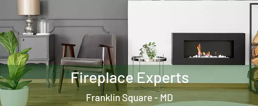 Fireplace Experts Franklin Square - MD