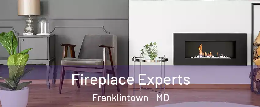 Fireplace Experts Franklintown - MD
