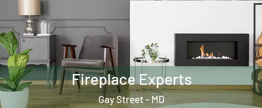 Fireplace Experts Gay Street - MD