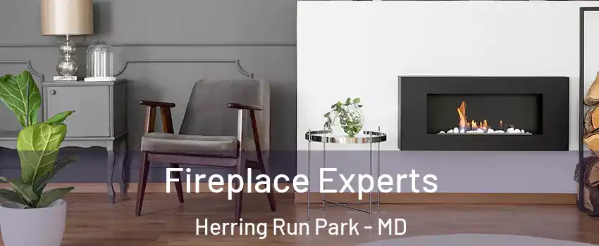 Fireplace Experts Herring Run Park - MD