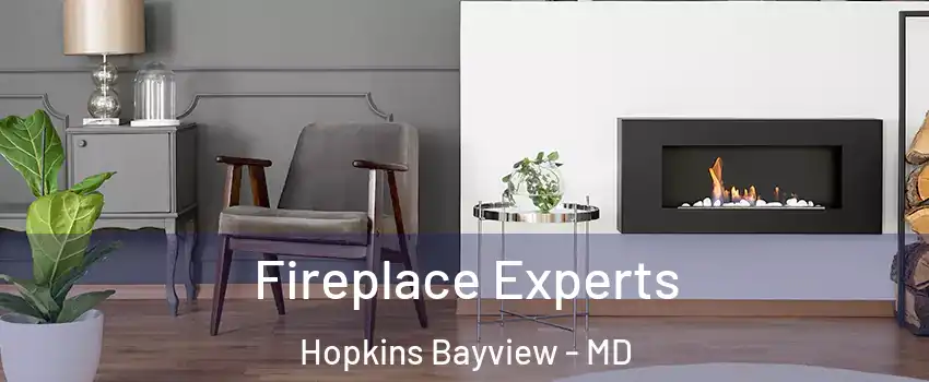 Fireplace Experts Hopkins Bayview - MD
