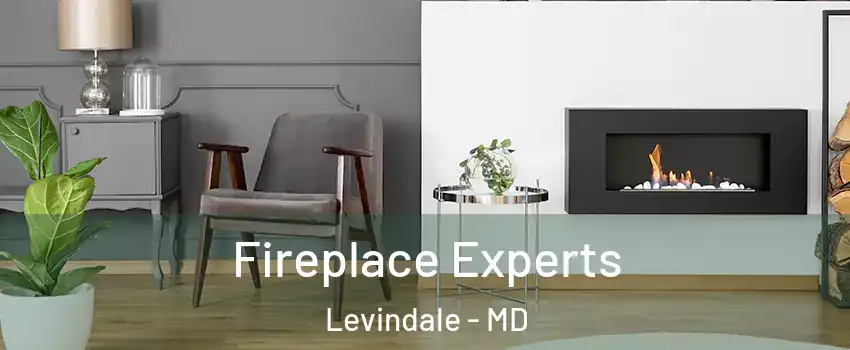 Fireplace Experts Levindale - MD