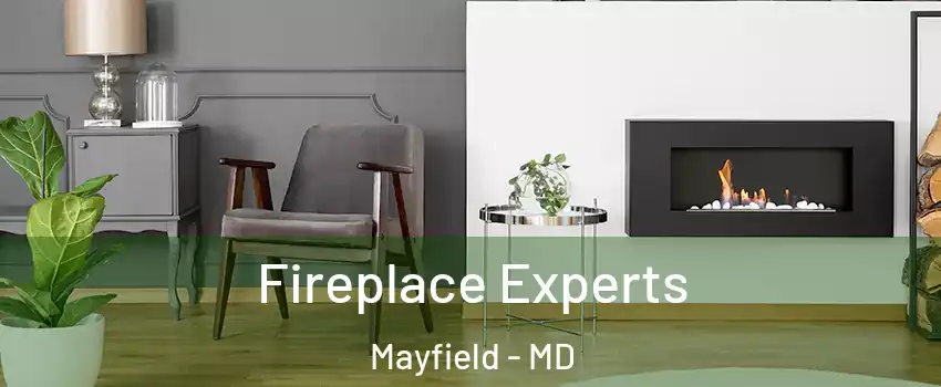 Fireplace Experts Mayfield - MD
