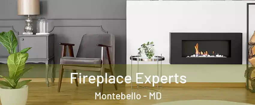 Fireplace Experts Montebello - MD