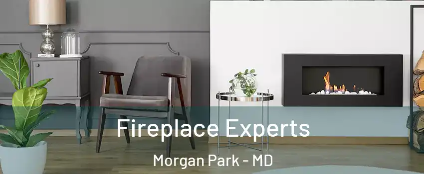 Fireplace Experts Morgan Park - MD