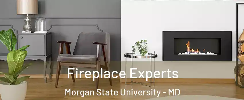 Fireplace Experts Morgan State University - MD