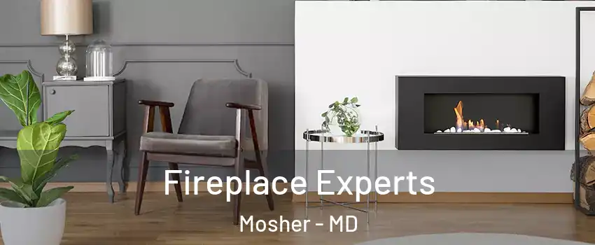 Fireplace Experts Mosher - MD