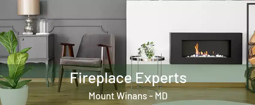 Fireplace Experts Mount Winans - MD
