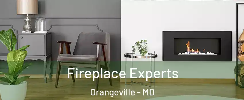Fireplace Experts Orangeville - MD